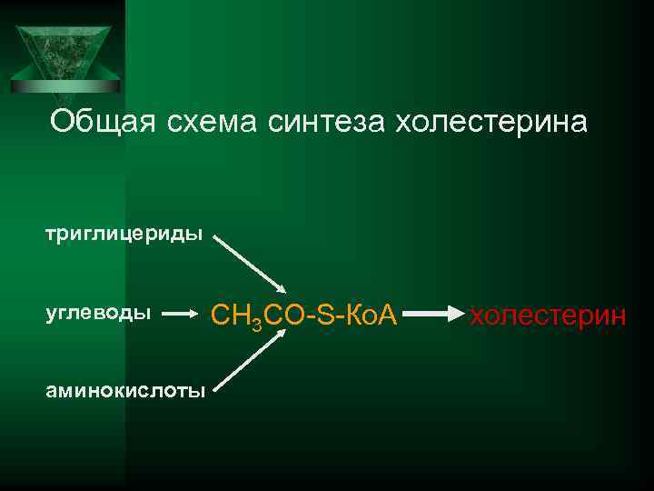 Общая схема синтеза холестерина триглицериды углеводы аминокислоты СН 3 СО-S-Ко. А холестерин 