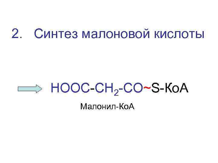 2. Синтез малоновой кислоты НООС-СН 2 -СО~S-Ко. А Малонил-Ко. А 
