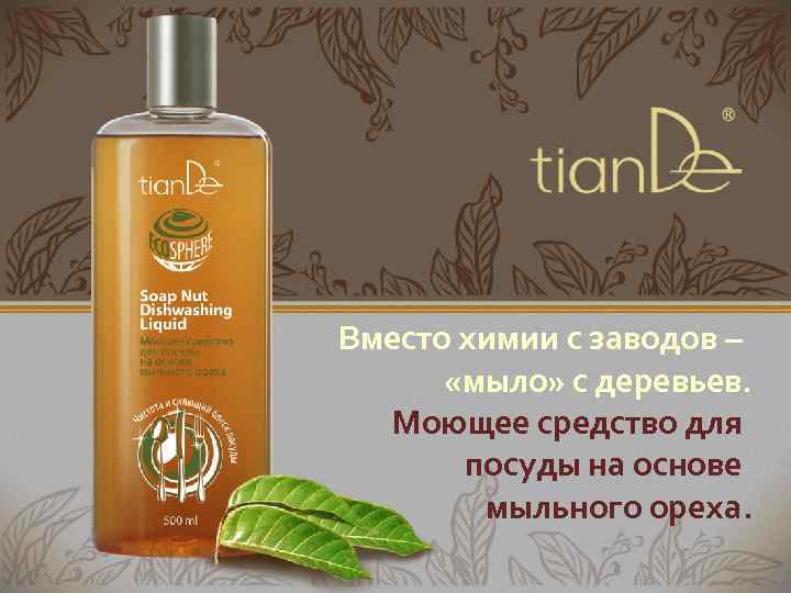 Вместо химии с заводов – «мыло» с деревьев. Моющее средство для посуды на основе