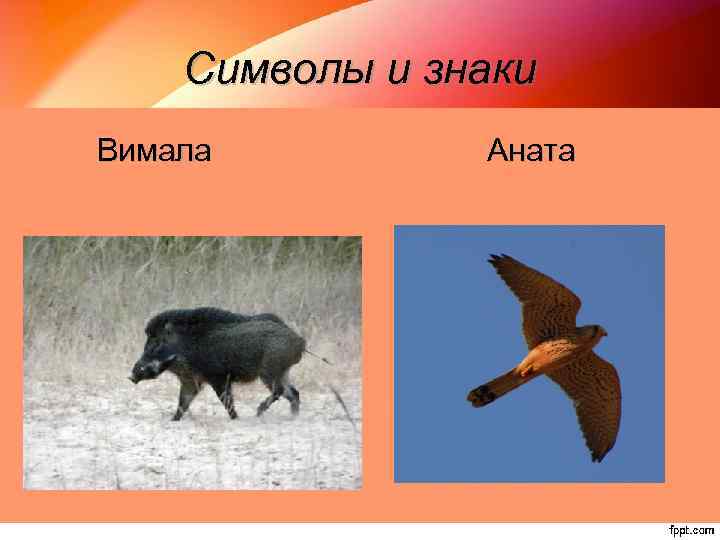 Символы и знаки Вимала Аната 