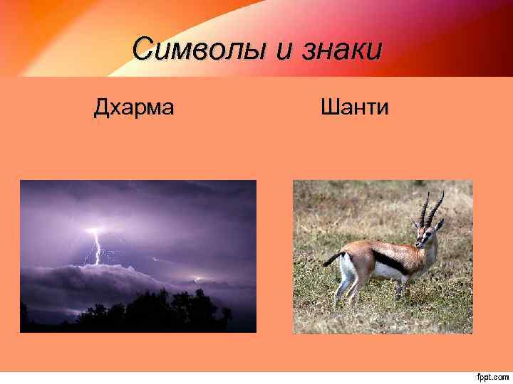 Символы и знаки Дхарма Шанти 