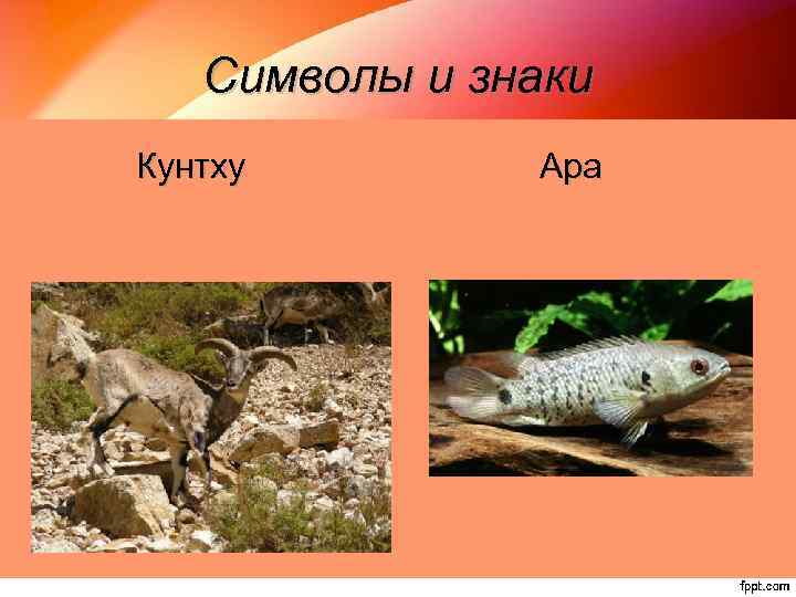 Символы и знаки Кунтху Ара 