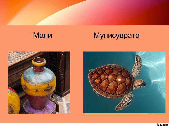 Мали Мунисуврата 