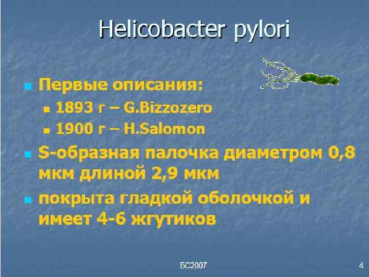 Dieta para helicobacter pylori pdf