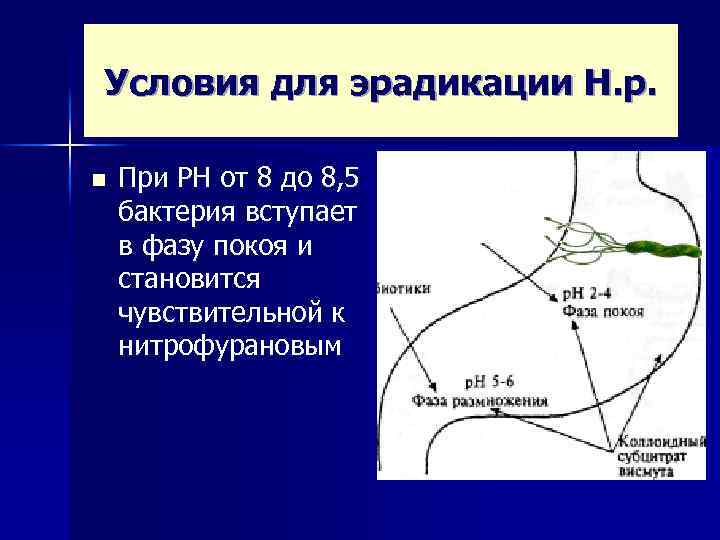 Условия для эрадикации Н. р. n При РН от 8 до 8, 5 бактерия