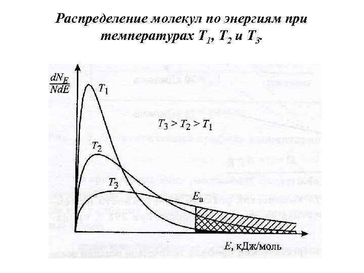 Распределение молекул по энергиям при температурах Т 1, Т 2 и Т 3. 