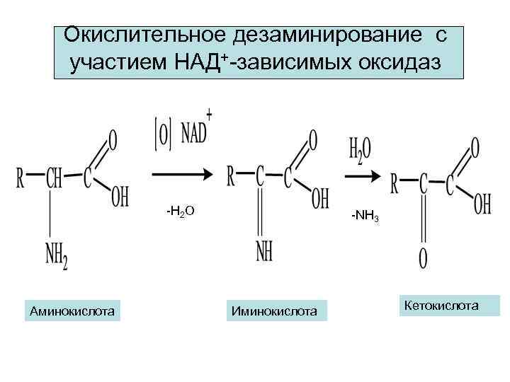 Реакция над