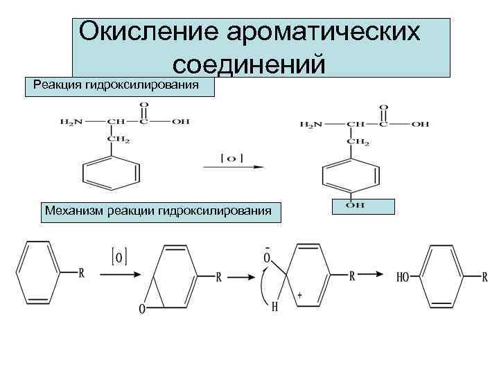 Реакция сузуки механизм