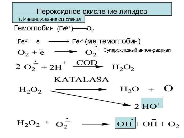 Найдите реакцию окисления. Механизм реакции пероксидного окисления. Пероксидное окисление липидов. Пероксидное окисление пентена 1. Схема пероксидного окисления.