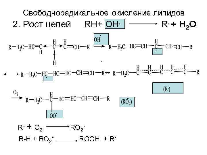 Процессы свободнорадикального окисления. Свободнорадикальное окисление олеиновой кислоты. Пероксидное окисление олеиновой кислоты. Реакции перекисного окисления липидов. Схема свободнорадикального окисления.