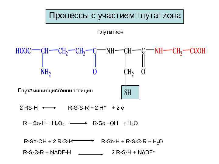 Под реакция. Глутатион формула биохимия. Реакция образования глутатиона. Глутатион схема окисления. Глутатион окисленный и восстановленный.