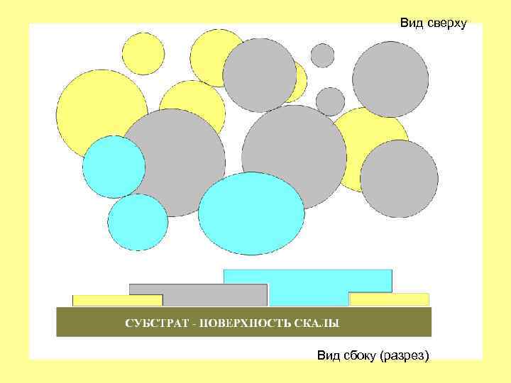 Вид сверху Вид сбоку (разрез) 