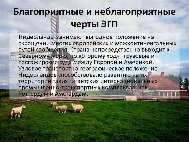 Благоприятные и неблагоприятные черты ЭГП Нидерланды занимают выгодное положение на скрещении многих европейских и