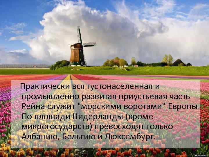  Практически вся густонаселенная и промышленно развитая приустьевая часть Рейна служит "морскими воротами" Европы.