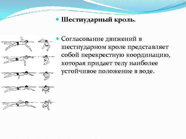 Согласование движений. Техника плавания 2 ударный Кроль. Шестиударный Кроль техника. 4 Ударный Кроль. Техника плавания 6 ударным кролем.