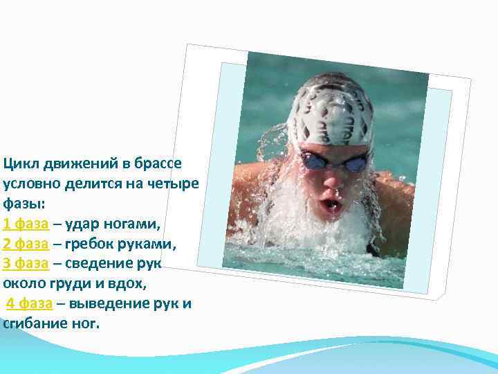 Цикл движений в брассе условно делится на четыре фазы: 1 фаза – удар ногами,