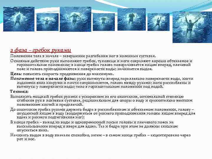 2 фаза – гребок руками Положение тела в начале – завершение разгибания ног в