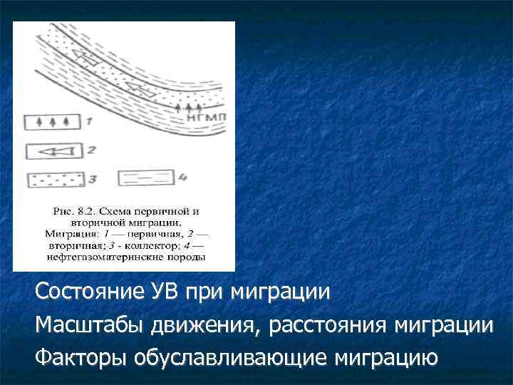 Состояние УВ при миграции Масштабы движения, расстояния миграции Факторы обуславливающие миграцию 
