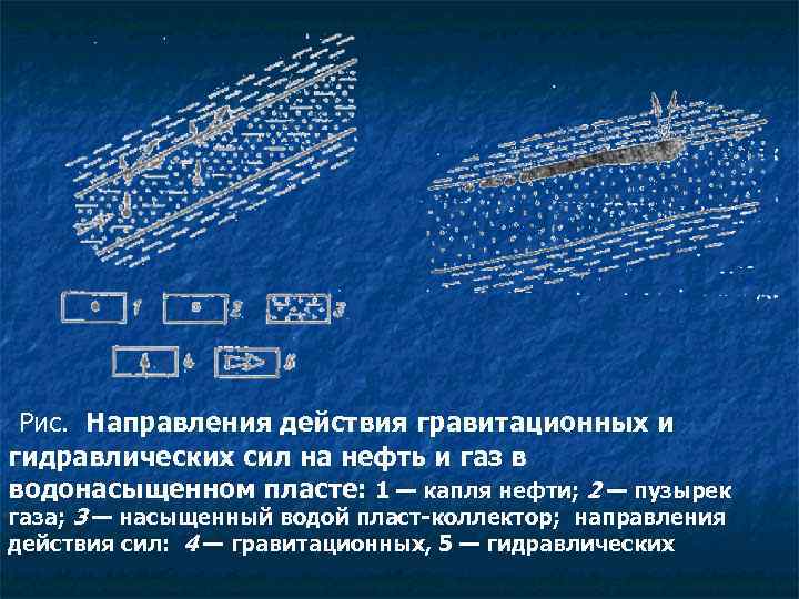 Рис. Направления действия гравитационных и гидравлических сил на нефть и газ в водонасыщенном пласте: