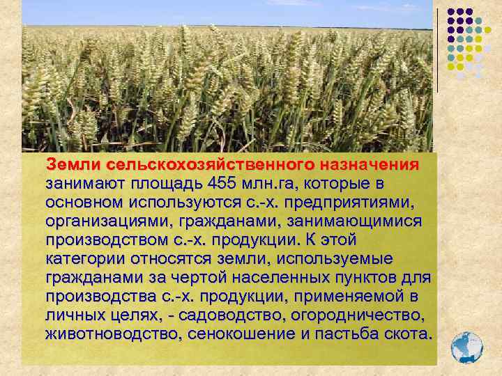 Земли сельскохозяйственного назначения занимают площадь 455 млн. га, которые в основном используются с. -х.