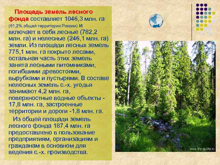 Площадь лесного фонда россии