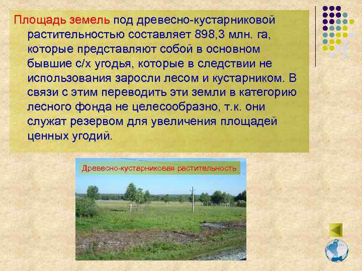 Площадь земель под древесно-кустарниковой растительностью составляет 898, 3 млн. га, которые представляют собой в