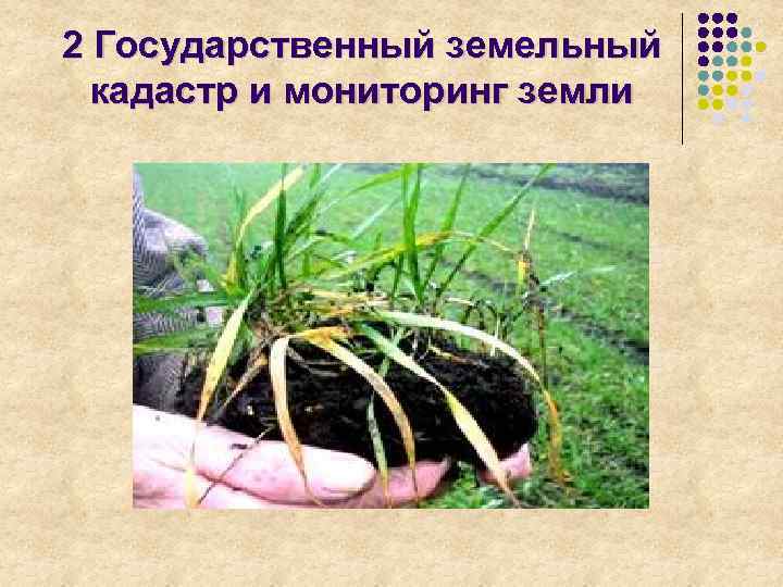 2 Государственный земельный кадастр и мониторинг земли 