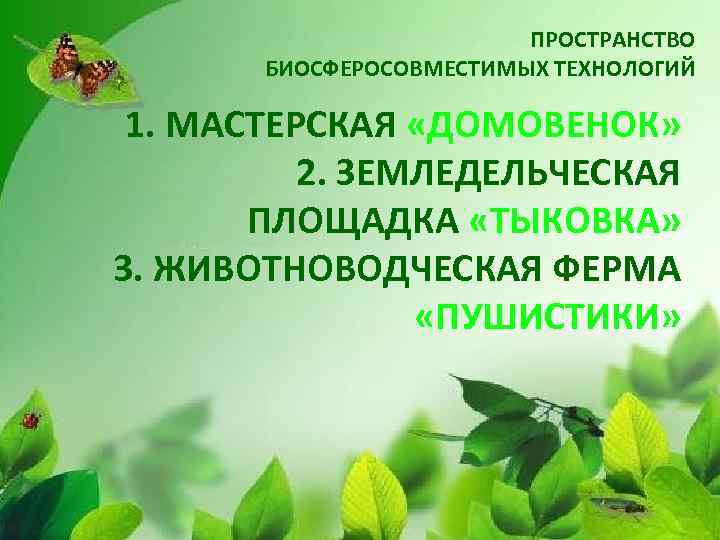 ПРОСТРАНСТВО БИОСФЕРОСОВМЕСТИМЫХ ТЕХНОЛОГИЙ 1. МАСТЕРСКАЯ «ДОМОВЕНОК» 2. ЗЕМЛЕДЕЛЬЧЕСКАЯ ПЛОЩАДКА «ТЫКОВКА» 3. ЖИВОТНОВОДЧЕСКАЯ ФЕРМА «ПУШИСТИКИ»