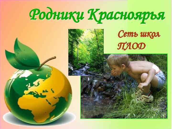Родники Красноярья Сеть школ ПЛОД 