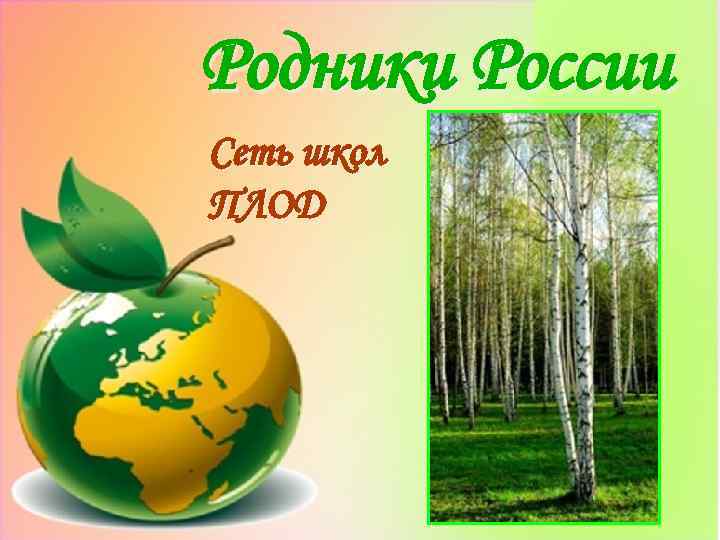 Родники России Сеть школ ПЛОД 