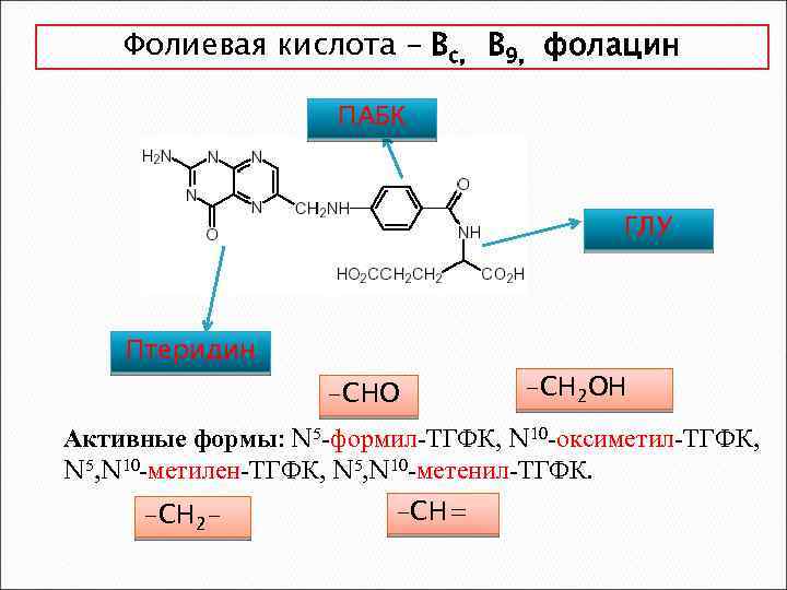 Фолиевая кислота – Вс, В 9, фолацин ПАБК ГЛУ Птеридин -СНО -СН 2 ОН