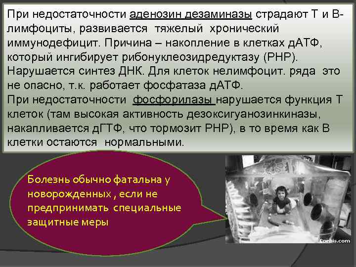При недостаточности аденозин дезаминазы страдают T и Bлимфоциты, развивается тяжелый хронический иммунодефицит. Причина –