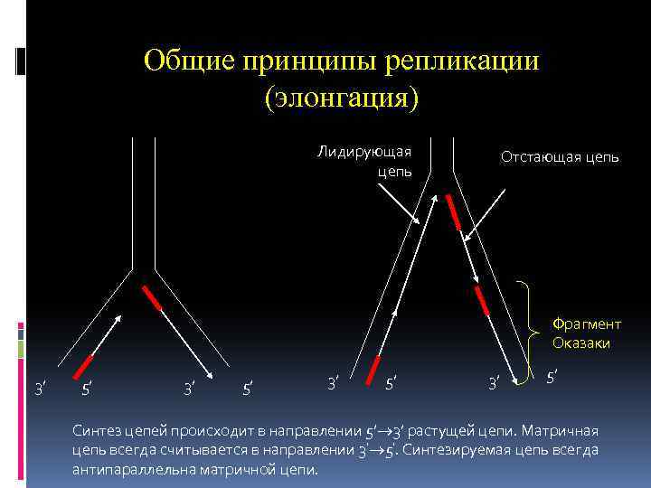 Синтез ока поликарбоксилаты