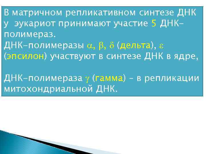 В матричном репликативном синтезе ДНК у эукариот принимают участие 5 ДНКполимераз. ДНК-полимеразы , ,