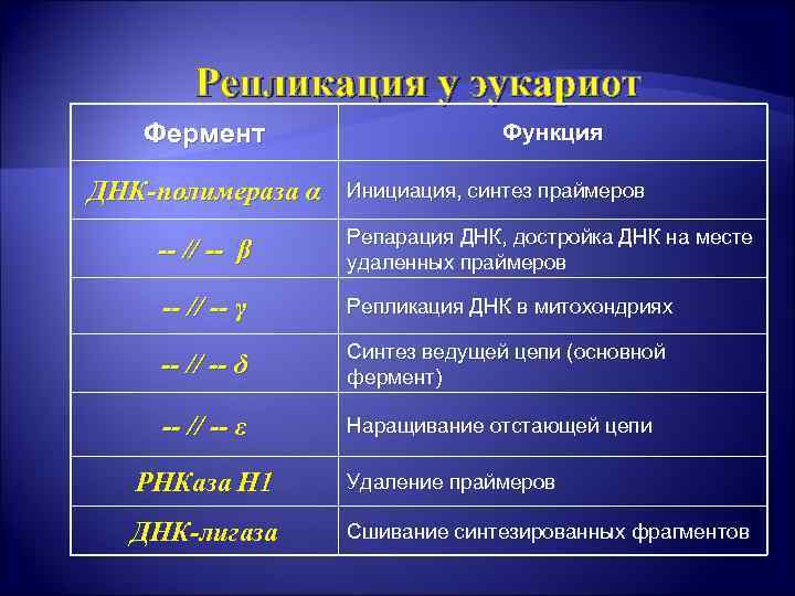 Репликация у эукариот Фермент ДНК-полимераза α Функция Инициация, синтез праймеров -- // -- β