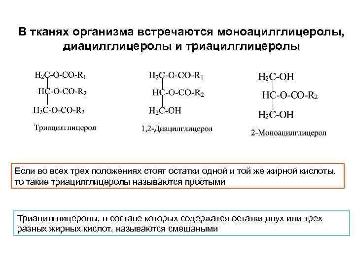 В тканях организма встречаются моноацилглицеролы, диацилглицеролы и триацилглицеролы Если во всех трех положениях стоят