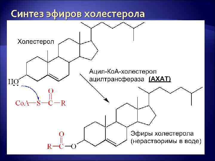 Схема синтеза холестерола