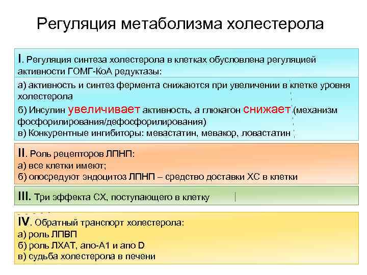 Регуляция метаболизма холестерола I. Регуляция синтеза холестерола в клетках обусловлена регуляцией активности ГОМГ-Ко. А