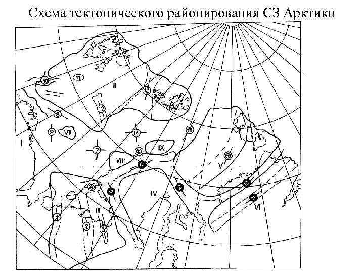 Фаунистическое районирование карта