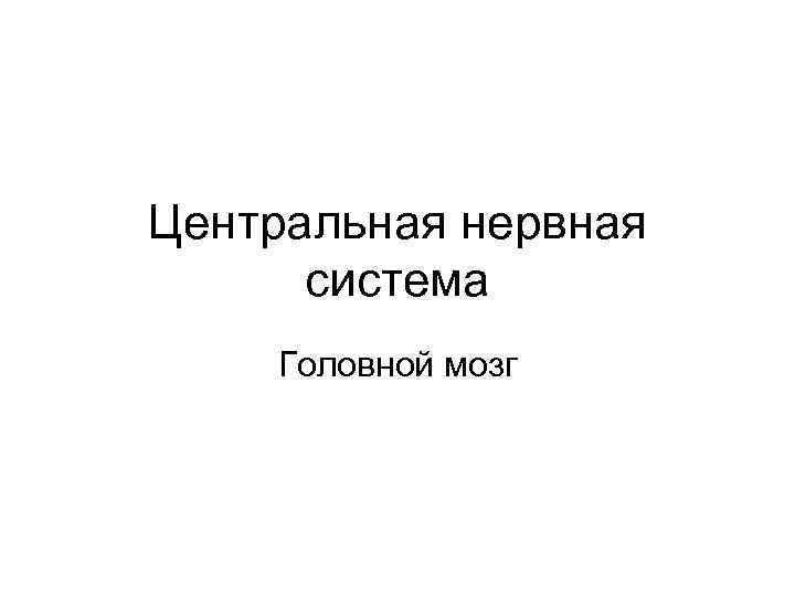 Центральная нервная система Головной мозг 