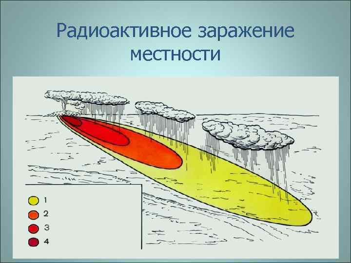 Радиоактивное заражение местности