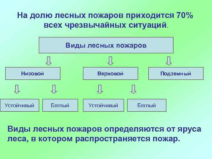 На долю лесных пожаров приходится 70% всех чрезвычайных ситуаций. Виды лесных пожаров Низовой Устойчивый
