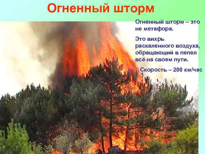 Огненный шторм – это не метафора. Это вихрь раскаленного воздуха, обращающий в пепел всё