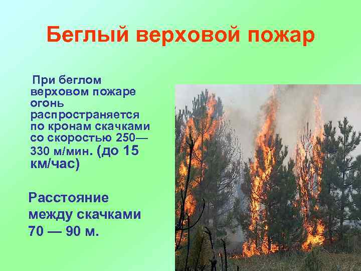 Верховой пожар наиболее опасен сдо. Верховой пожар скорость распространения. Скорость верховых пожаров. Беглые верховые пожары. Верховой пожар наиболее опасен.