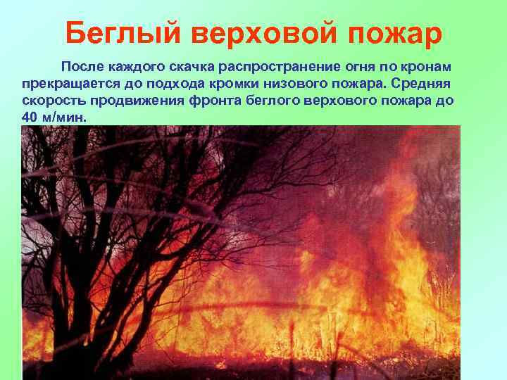 Беглый верховой пожар После каждого скачка распространение огня по кронам прекращается до подхода кромки