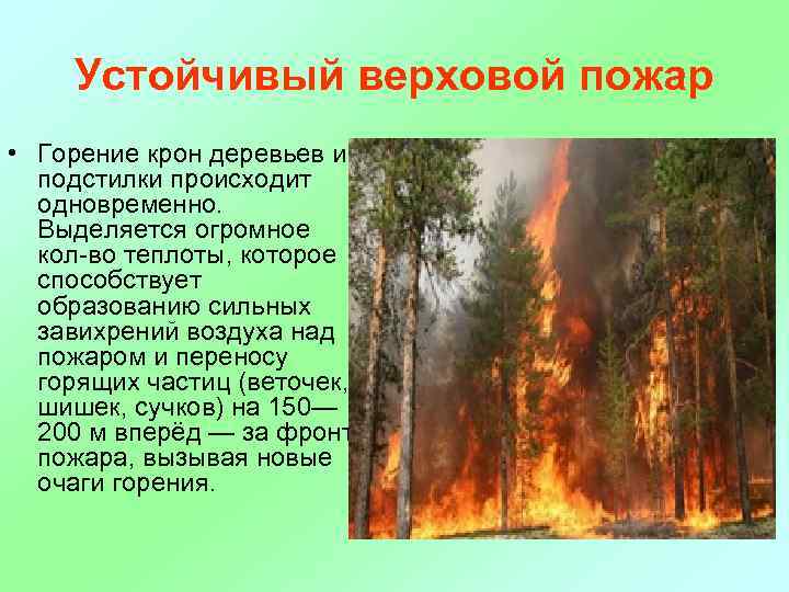 Устойчивое горение. Верховой беглый Лесной пожар. Верховые пожары БЖД. Лесной пожар это определение. Верховой пожар характеристика.
