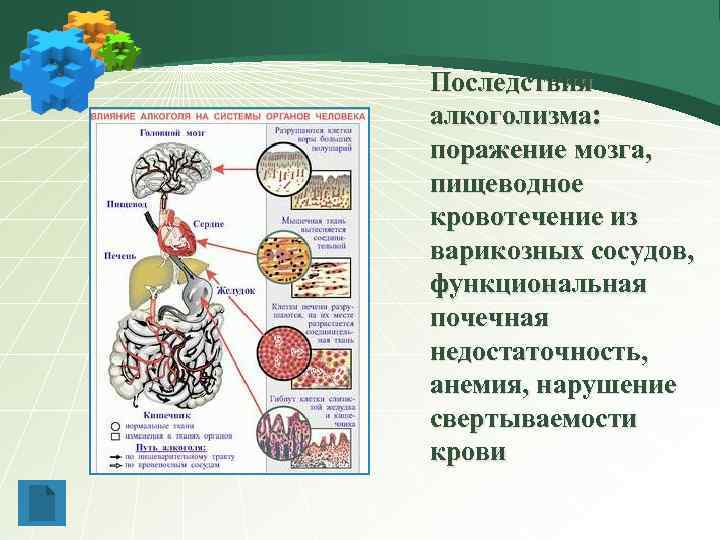 Последствия алкоголизма: поражение мозга, пищеводное кровотечение из варикозных сосудов, функциональная почечная недостаточность, анемия, нарушение