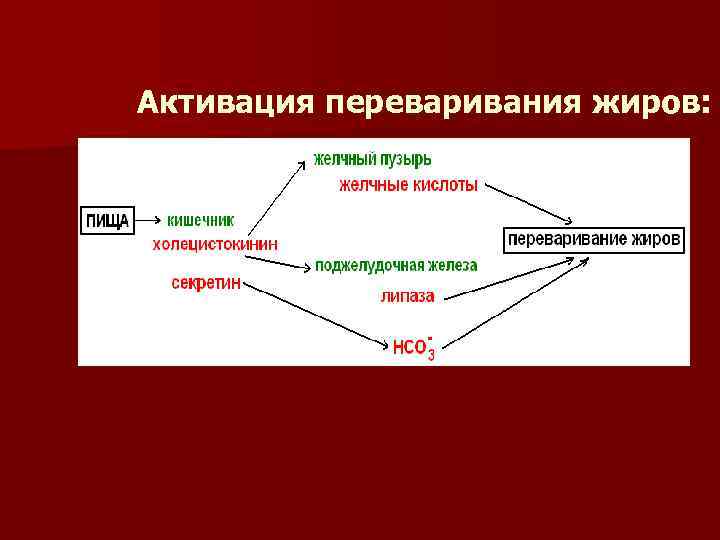 Активация переваривания жиров: 