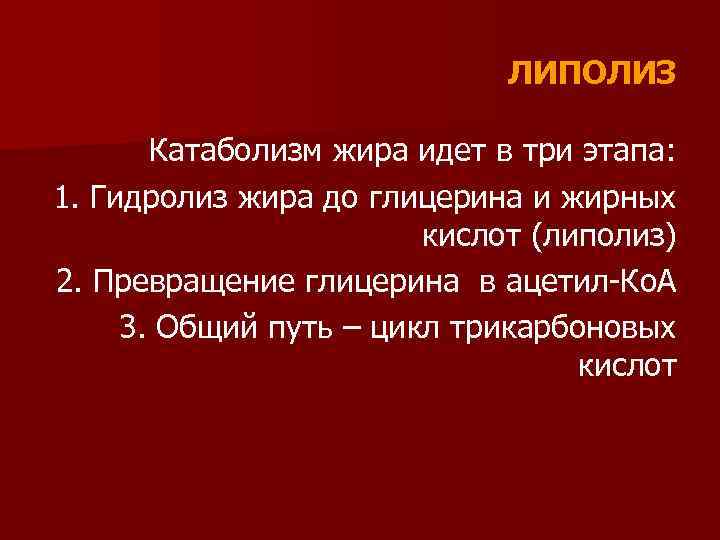 ЛИПОЛИЗ Катаболизм жира идет в три этапа: 1. Гидролиз жира до глицерина и жирных