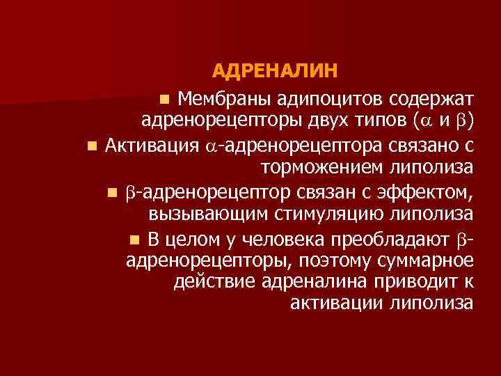АДРЕНАЛИН n Мембраны адипоцитов содержат адренорецепторы двух типов ( и ) n Активация -адренорецептора